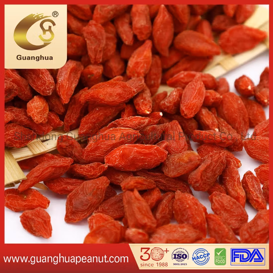 Hot Sales Health Dried Goji Berry