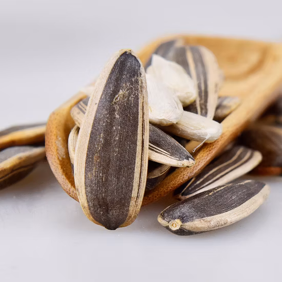 Семена подсолнечника нового урожая большого размера всех типов